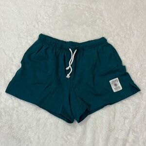 Levi Teal Sweat Shorts